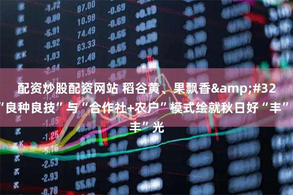 配资炒股配资网站 稻谷黄、果飘香&#32;“良种良技”与“合作社+农户”模式绘就秋日好“丰”光